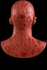 Nightmare Maske